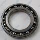 Bearing 16009                                                                                                                                                                                                                                                  