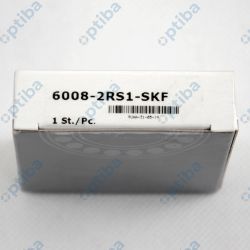 6008-2RS1
