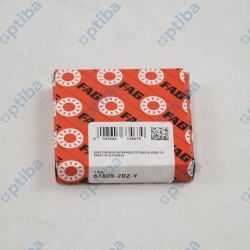 61809-2RZ-Y