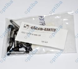 Shoulder screw ISO 7379-8-M6-30                                                                                                                                                                                                                                