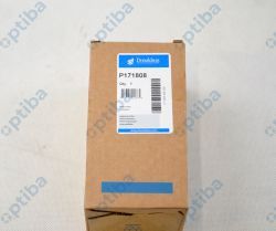 Filtr P171808